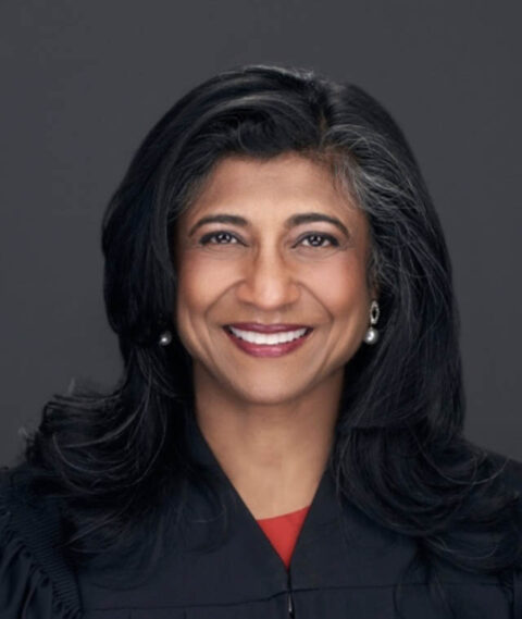 cook-county-circuit-court-rena-marie-van-tine-cook-county-democratic